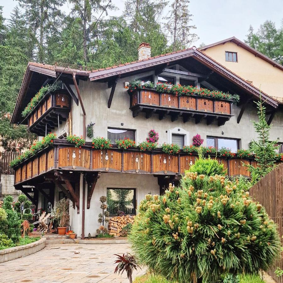 Amor Tirol Busteni (Adults Only) Zewnętrze zdjęcie