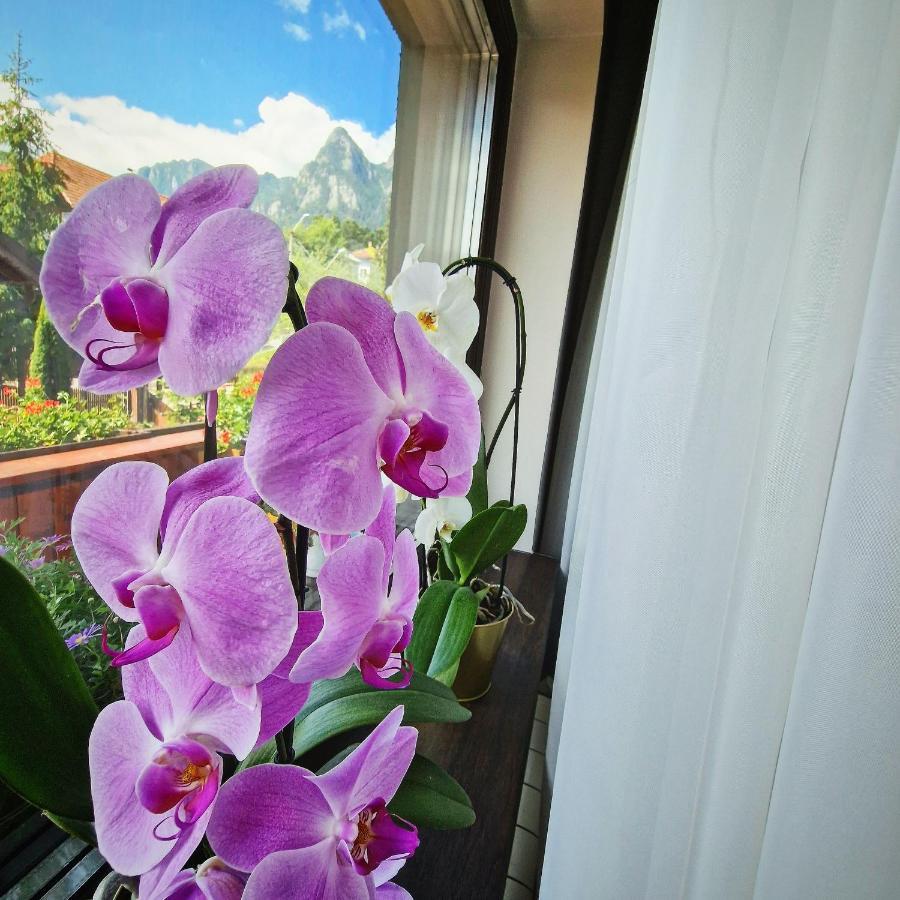 Amor Tirol Busteni (Adults Only) Zewnętrze zdjęcie