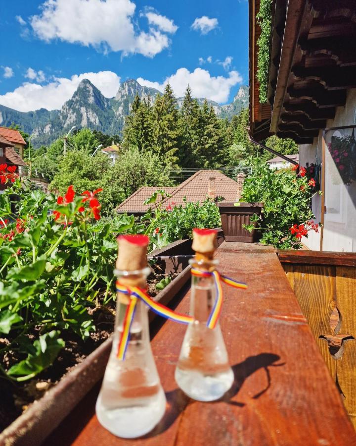 Amor Tirol Busteni (Adults Only) Zewnętrze zdjęcie