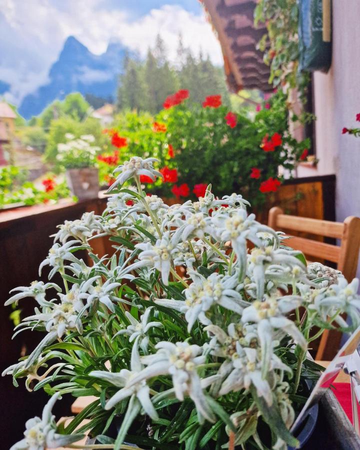 Amor Tirol Busteni (Adults Only) Zewnętrze zdjęcie