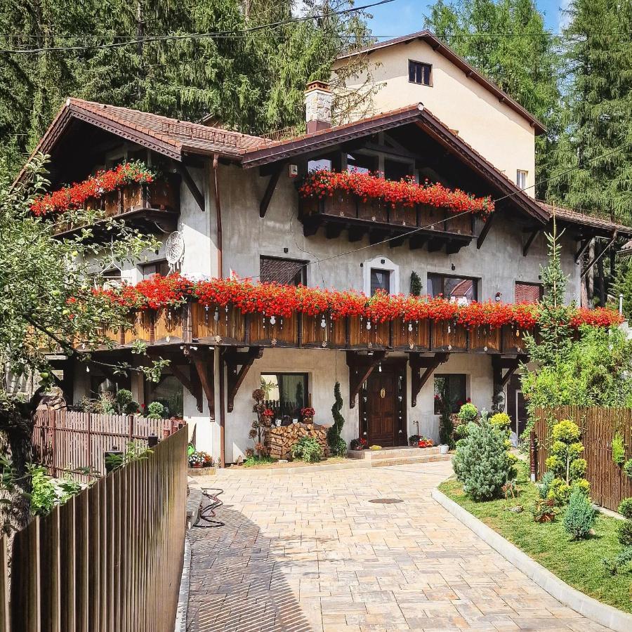Amor Tirol Busteni (Adults Only) Zewnętrze zdjęcie