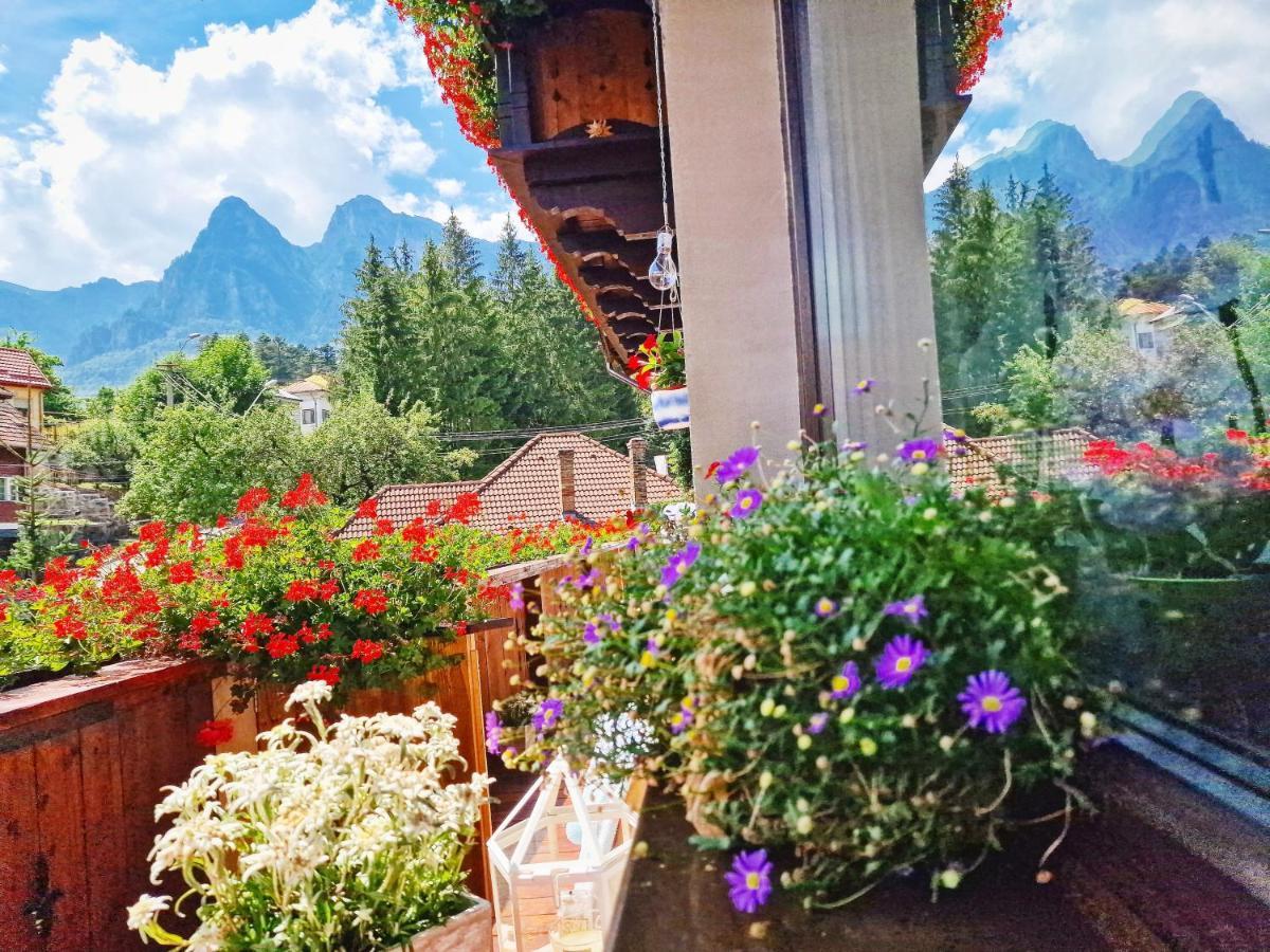 Amor Tirol Busteni (Adults Only) Zewnętrze zdjęcie