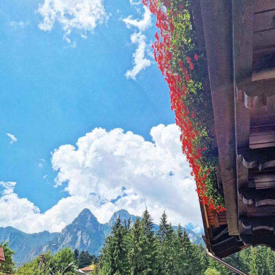 Amor Tirol Busteni (Adults Only) Zewnętrze zdjęcie