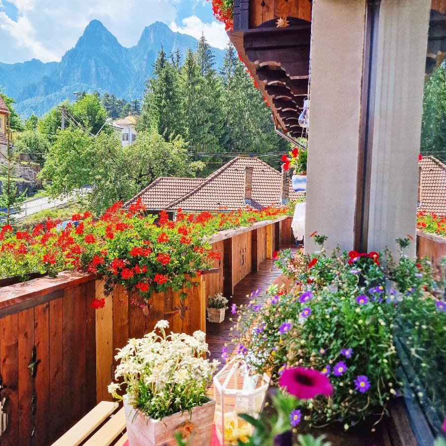 Amor Tirol Busteni (Adults Only) Zewnętrze zdjęcie
