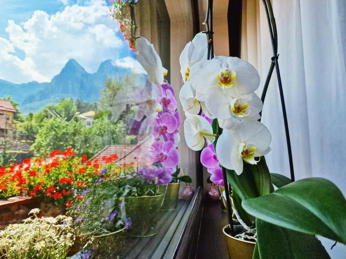 Amor Tirol Busteni (Adults Only) Zewnętrze zdjęcie