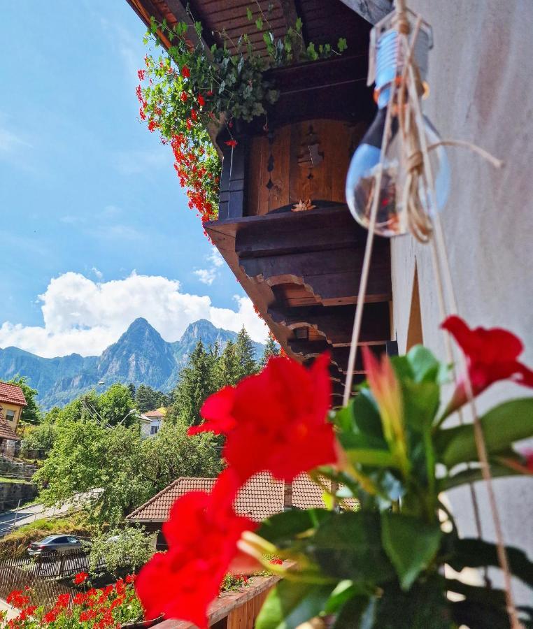 Amor Tirol Busteni (Adults Only) Zewnętrze zdjęcie