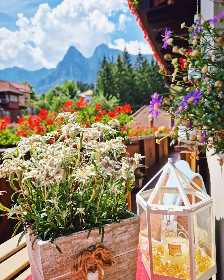 Amor Tirol Busteni (Adults Only) Zewnętrze zdjęcie
