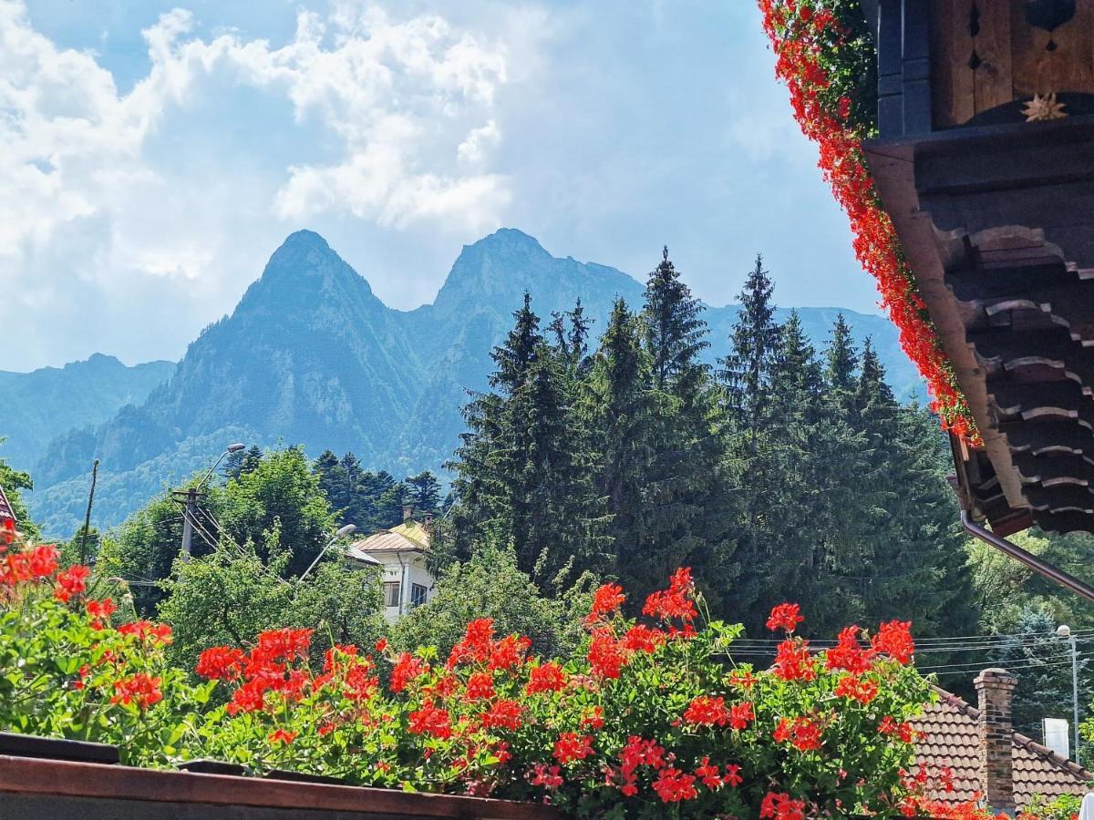 Amor Tirol Busteni (Adults Only) Zewnętrze zdjęcie