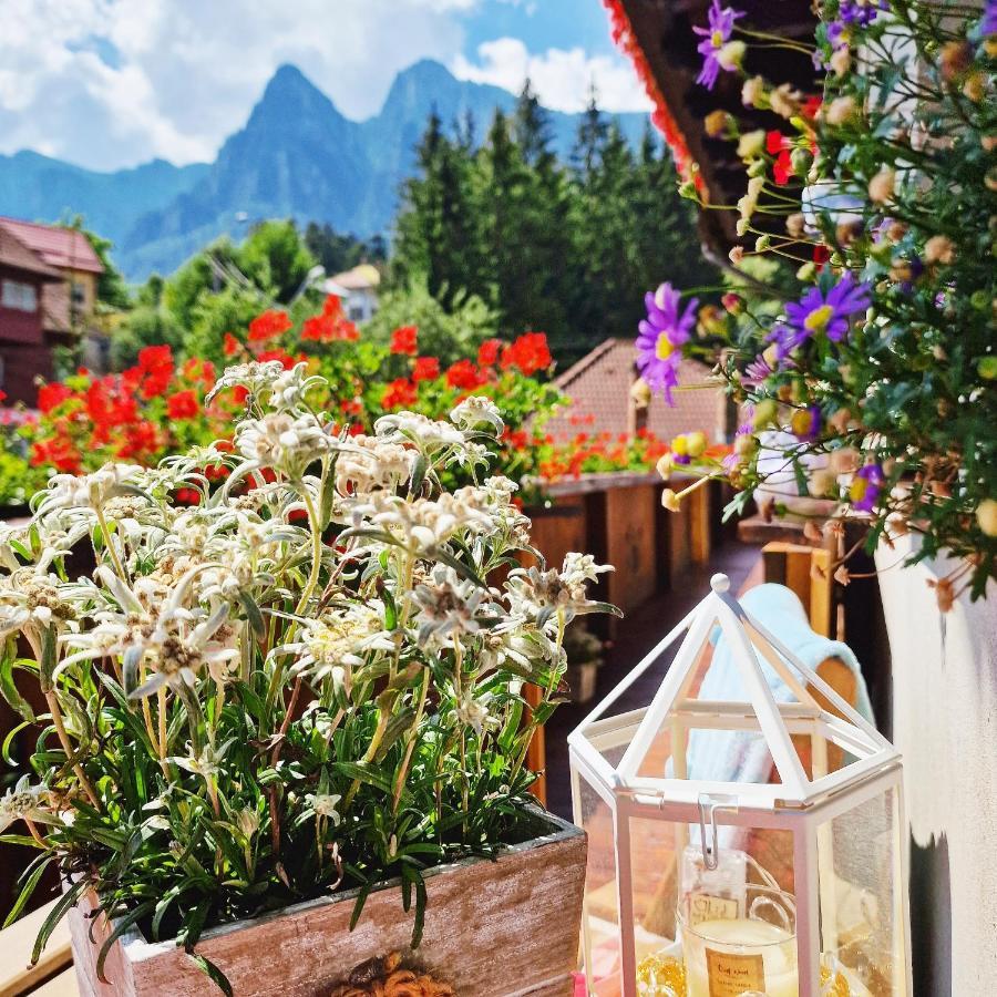 Amor Tirol Busteni (Adults Only) Zewnętrze zdjęcie