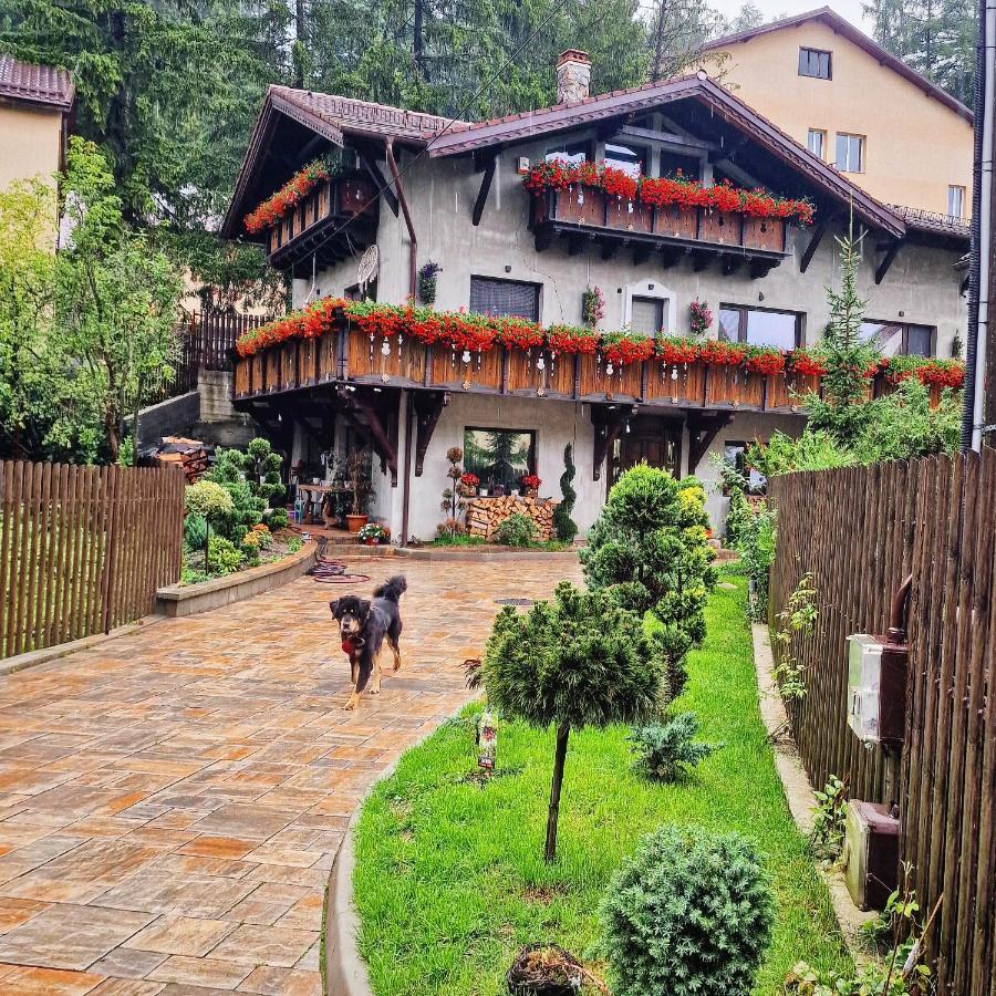 Amor Tirol Busteni (Adults Only) Zewnętrze zdjęcie
