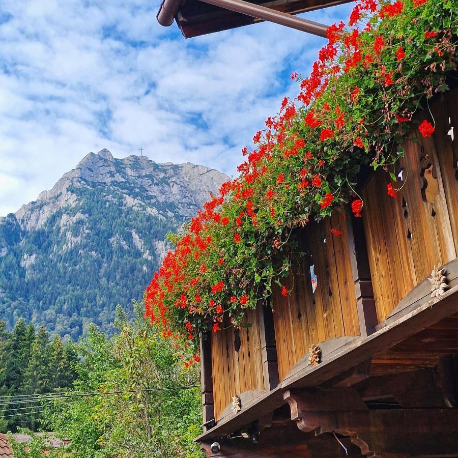 Amor Tirol Busteni (Adults Only) Zewnętrze zdjęcie