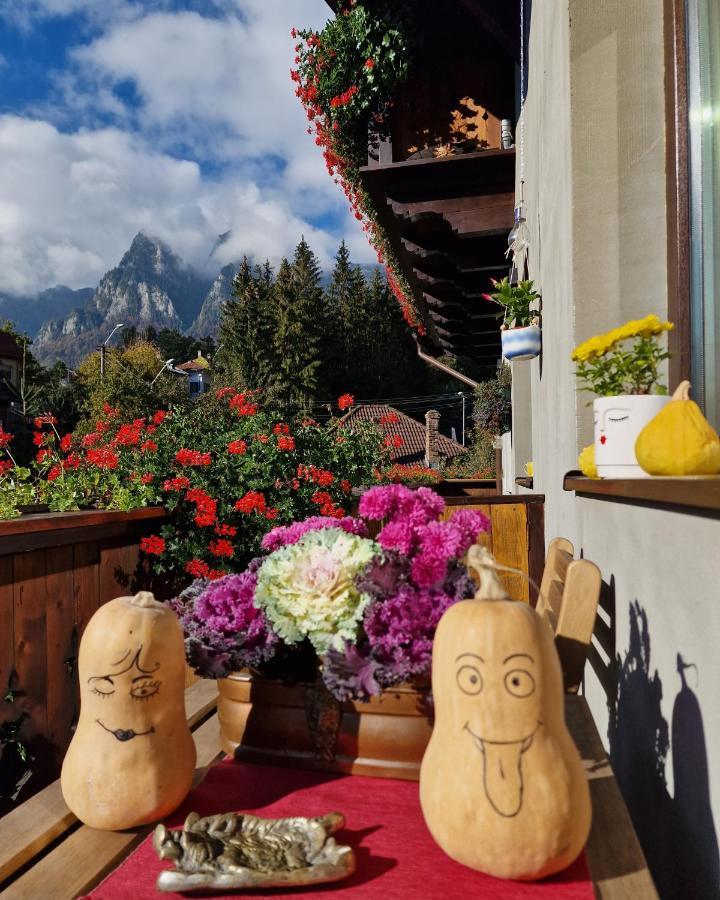 Amor Tirol Busteni (Adults Only) Zewnętrze zdjęcie