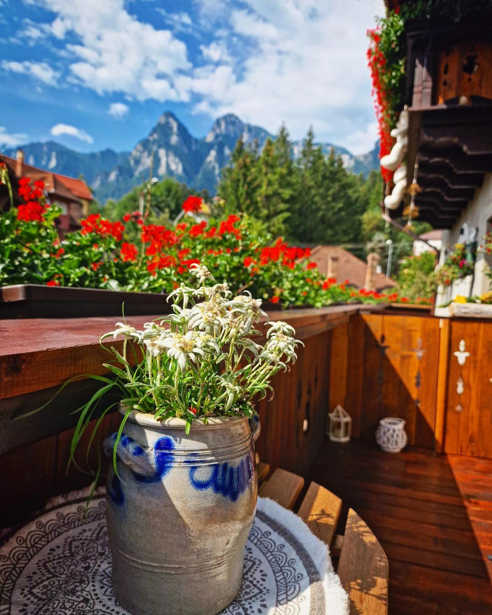 Amor Tirol Busteni (Adults Only) Zewnętrze zdjęcie